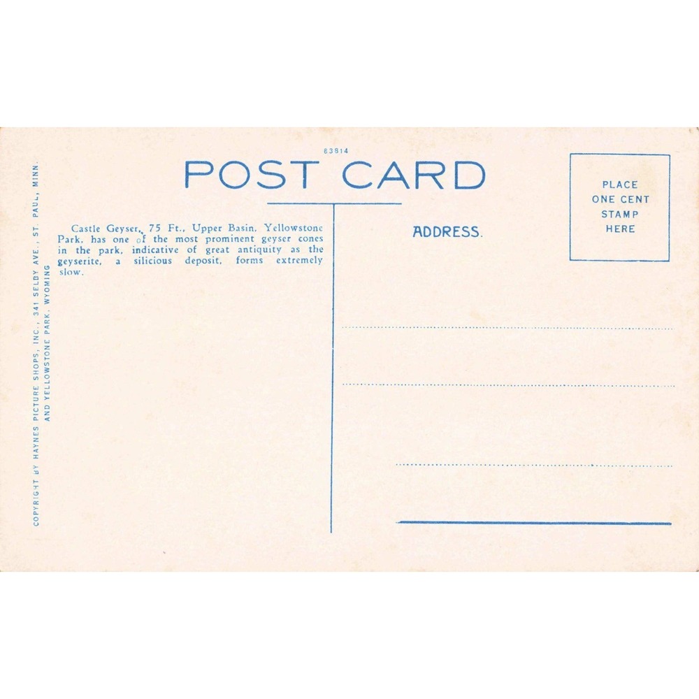 Yellowstone National Park WY Castle Geyser Haynes White Border Postcard 16062 - Picture 2 of 2